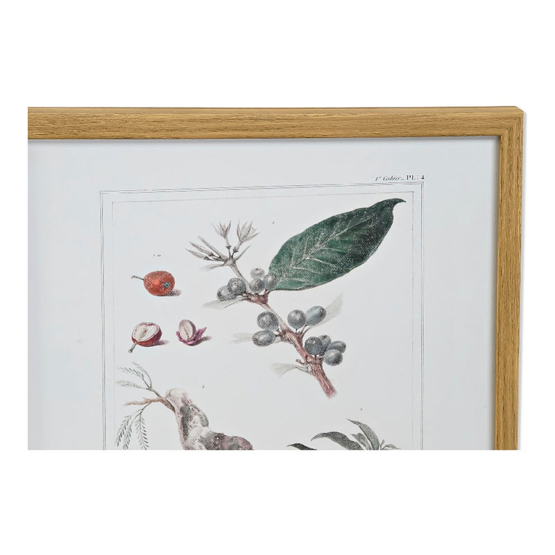 Quadro DKD Home Decor Tela Piante botaniche (4 pcs) (43 x 3 x 53 cm)