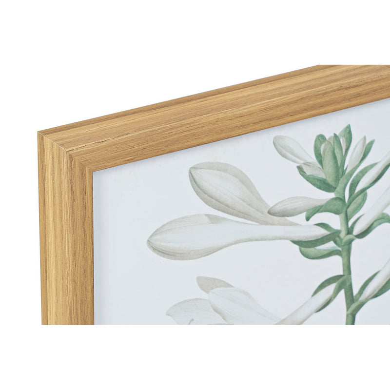 DKD Home Decor Framework Botanical Plants (2 PCS) (43 x 3 x 53 cm)