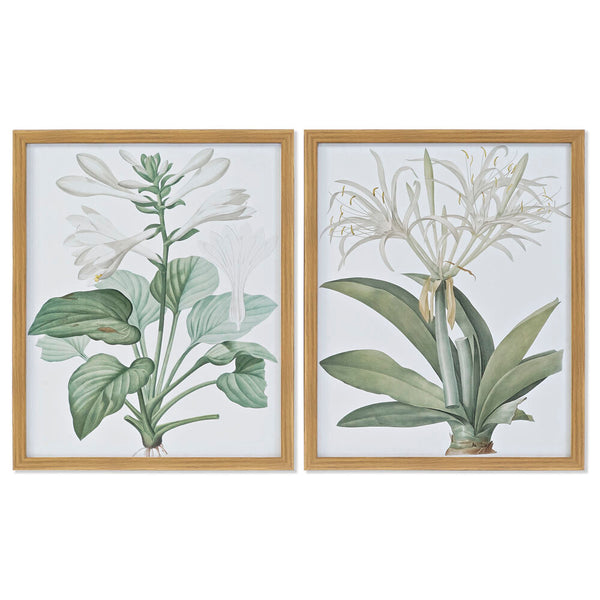 DKD Home Decor Framework Botanical Plants (2 PCS) (43 x 3 x 53 cm)