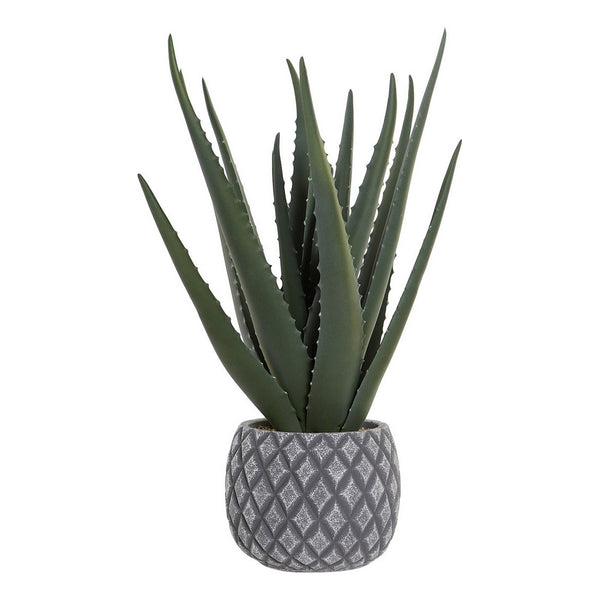 Pianta Decorativa DKD Home Decor Aloe Vera Polietilene Gres (20 x 20 x 47 cm) - zannishop