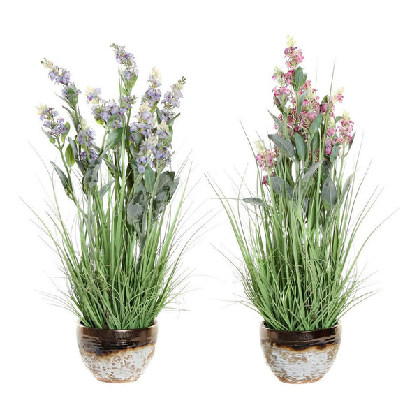 Pianta Decorativa DKD Home Decor Poliestere Porțelan (2 pcs) - zannishop