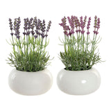 Pianta Decorativa DKD Home Decor Lavanda Rosa Polietilene Dolomite Lilla (17 x 17 x 27 cm) (2 pcs) - zannishop