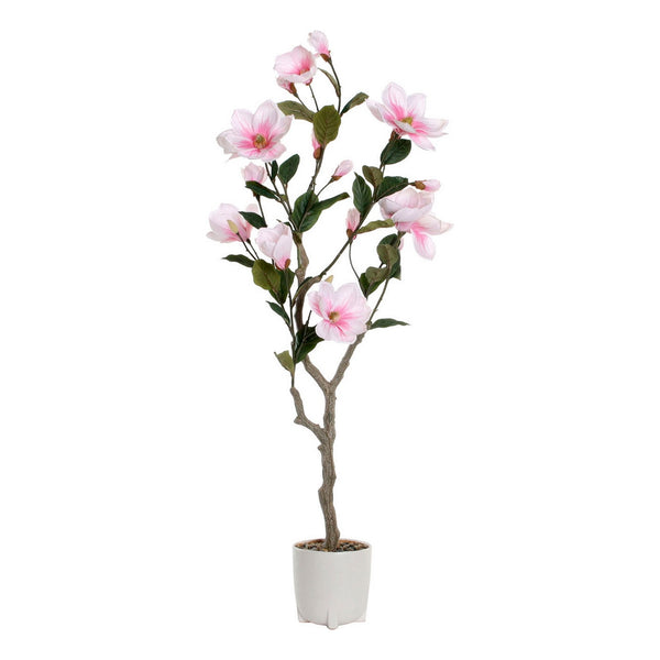 Pianta Decorativa DKD Home Decor Magnolia Polietilene Dolomite (40 x 40 x 125 cm) - zannishop