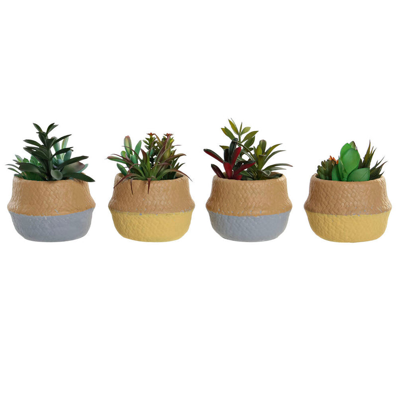 Pianta Decorativa DKD Home Decor Polietilene (4 pcs) (12.5 x 12.5 x 15.5 cm) - zannishop