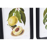 DKD Home Decor Obst Papst (9 Stcs) (30 x 2 x 40 cm)