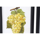 DKD Home Decor Obst Papst (9 Stcs) (30 x 2 x 40 cm)