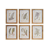 DKD Home Decor Frunze Picture (35 x 1,7 x 45 cm) (6 pc)