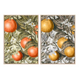 DKD Home Decor Obst Papst (2 PCs) (53 x 4,5 x 73 cm)