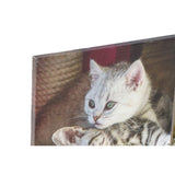 DKD Home Decor Gatti Picture (28 x 1.5 x 28 cm) (4 PC)