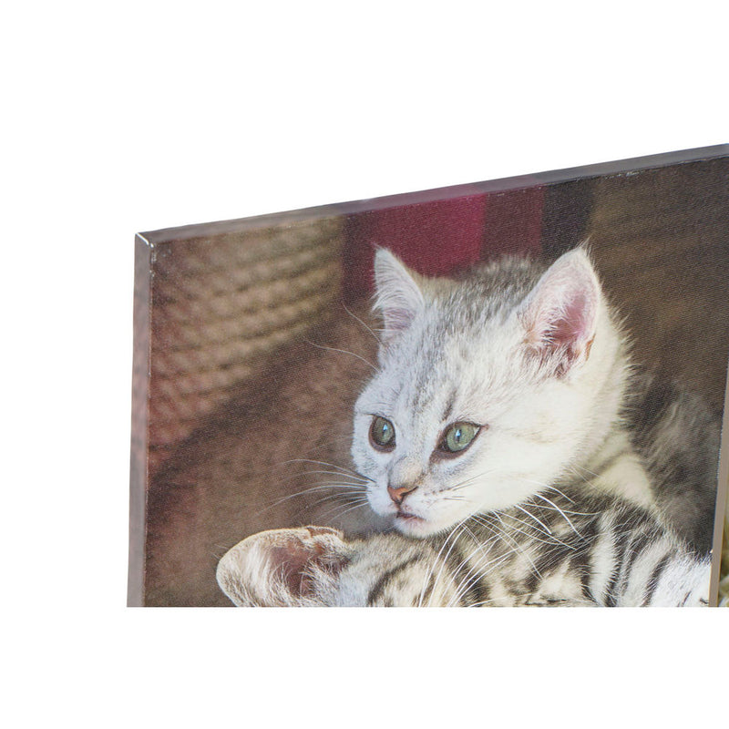 DKD Home Decor Gatti Picture (28 x 1.5 x 28 cm) (4 PC)