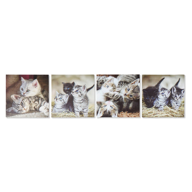 DKD Home Decor Gatti Picture (28 x 1.5 x 28 cm) (4 PC)