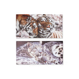 DKD Home Decor Tigru Picture (80 x 1,8 x 40 cm) (2 pc)