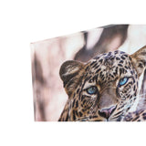 DKD Home Decor Leopardo Bild (50 x 1,8 x 70 cm) (3 Stcs)