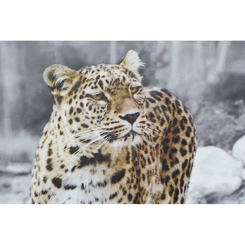 DKD Home Decor Leopardo Image (50 x 1,8 x 70 cm) (4 pc)