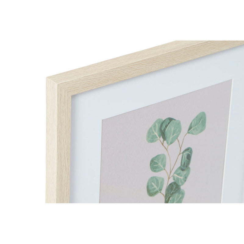 DKD Home Picture Decor Plant (35 x 2,5 x 45 cm) (4 Stcs)