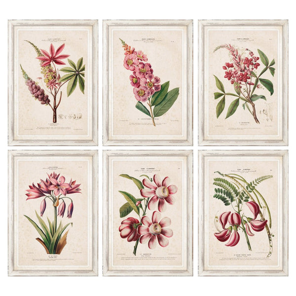 DKD Home Decor Flower Picture (50 x 2,5 x 70 cm) (6 pcs)