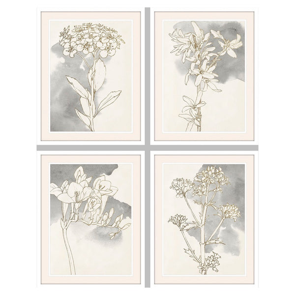 DKD Home Decor Flower Picture (55 x 2,5 x 70 cm) (4 pc)