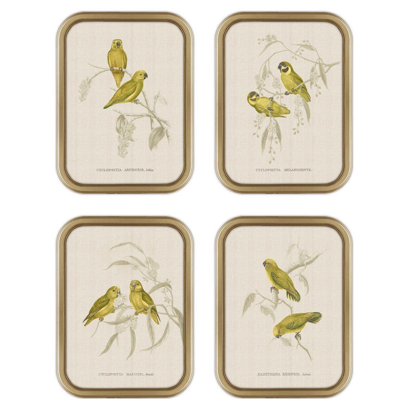 DKD Home Decor Papor Pappagallo (30 x 2 x 40 cm) (4 PCs)