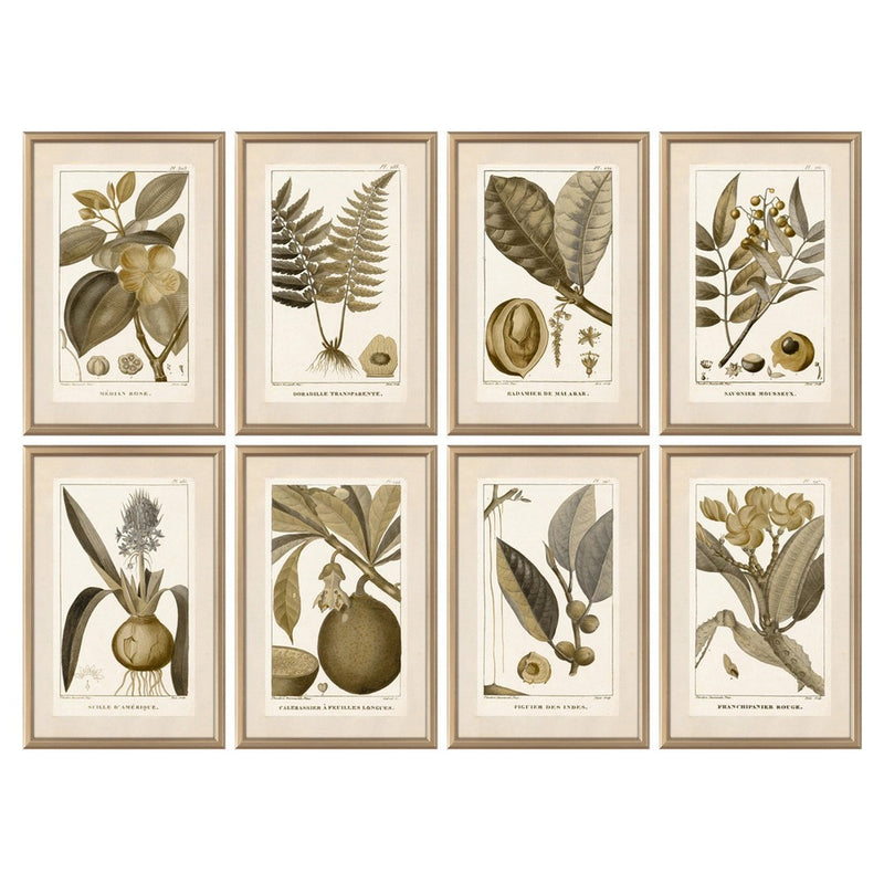 DKD Home Decor Framework Botanical Plants (4 PCS) (40 x 2 x 60 cm)