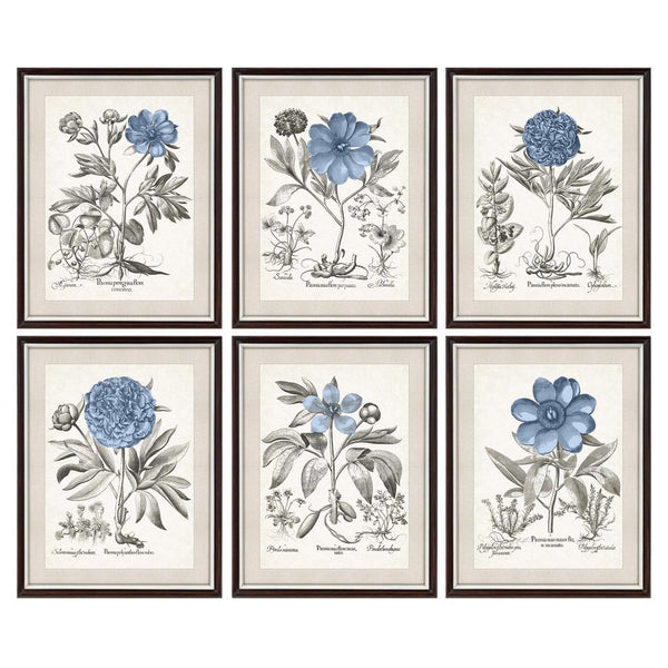 DKD Home Decor Flower Picture (6 pcs) (50 x 2 x 65 cm)