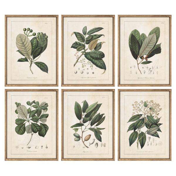 DKD Home Decor Framework Botanical Plants (45 x 2,5 x 60 cm) (6 pc)