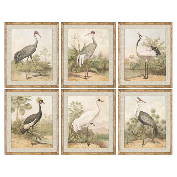 Quadro DKD Home Decor Uccello (50 x 2.5 x 60 cm) (6 pcs)