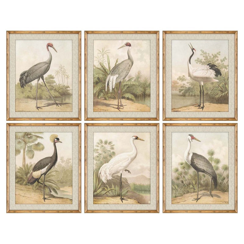 Quadro DKD Home Decor Uccello (50 x 2.5 x 60 cm) (6 pcs)