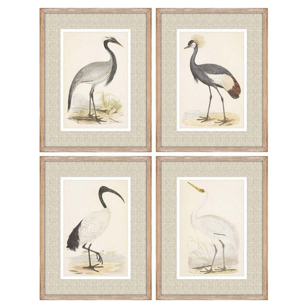 DKD Home Decor Bird Picture (4 PCS) (35 x 2 x 45 cm)