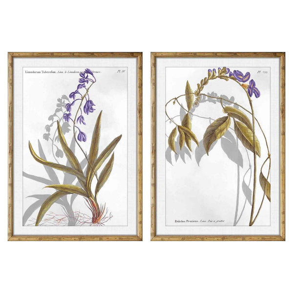 DKD Home Picture Decor Plantes botaniques (50 x 2 x 70 cm) (2 pc)