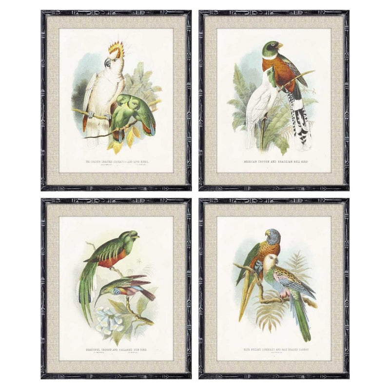 DKD Home Decor Birds Bild (50 x 2 x 60 cm) (4 Stcs)