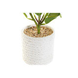 Pianta Decorativa DKD Home Decor Bianco Verde PVC EVA (23 x 23 x 30 cm) - zannishop