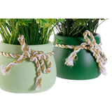 Pianta Decorativa DKD Home Decor Cemento Polietilene Verde (9 x 9 x 15 cm) (2 pcs) - zannishop