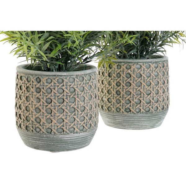 Decorative Plant DKD Home Decor Polyethylene Green Resin (12 x 12 x 30 cm) (2 pcs) - zannishop