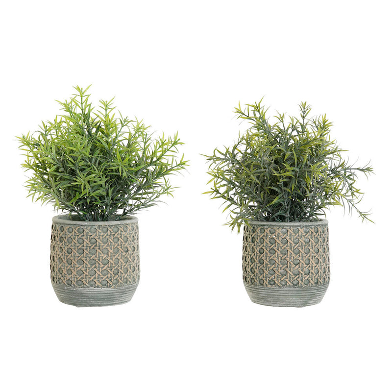 Decorative Plant DKD Home Decor Polyethylene Green Resin (12 x 12 x 30 cm) (2 pcs) - zannishop