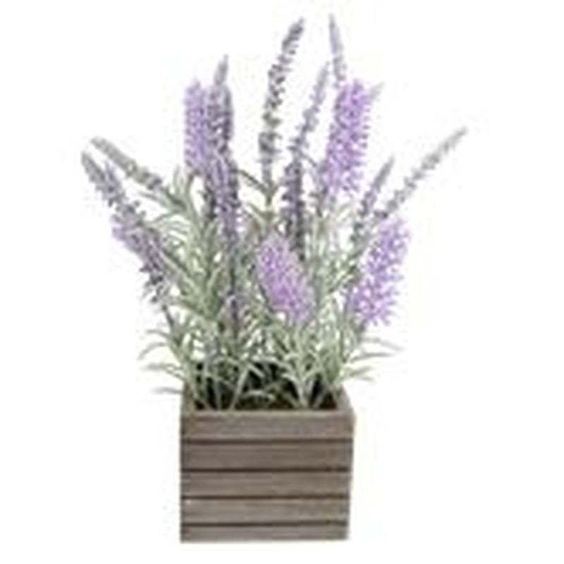 Pianta Decorativa DKD Home Decor Lilla Polietilene (10 x 10 x 30 cm) - zannishop