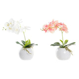 Pianta Decorativa DKD Home Decor Polietilene Bianco Pesca (30 x 20 x 43 cm) (2 pcs) - zannishop