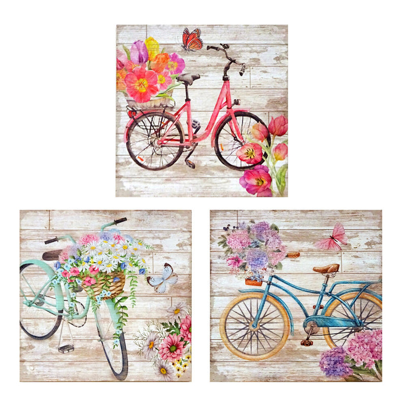 DKD Home Decor Bicycle Pope (3 PCs) (30 x 3 x 30 cm)