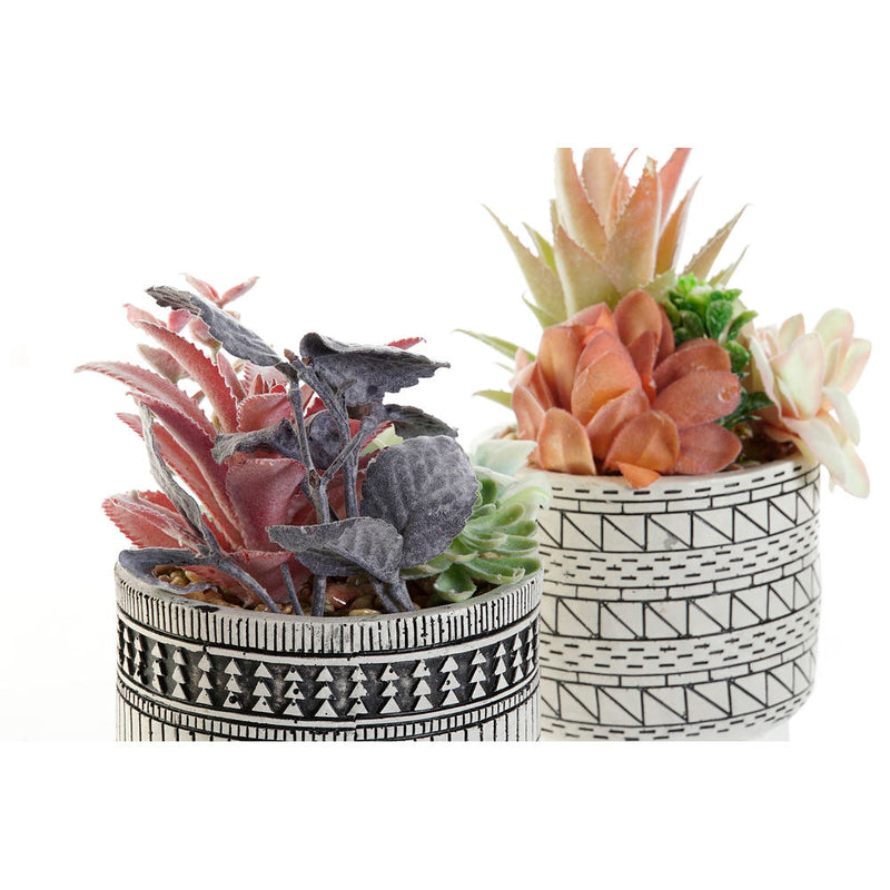 Pianta Decorativa DKD Home Decor Cactus Resina Polietilene (11 x 11 x 21 cm) (2 pcs) - zannishop