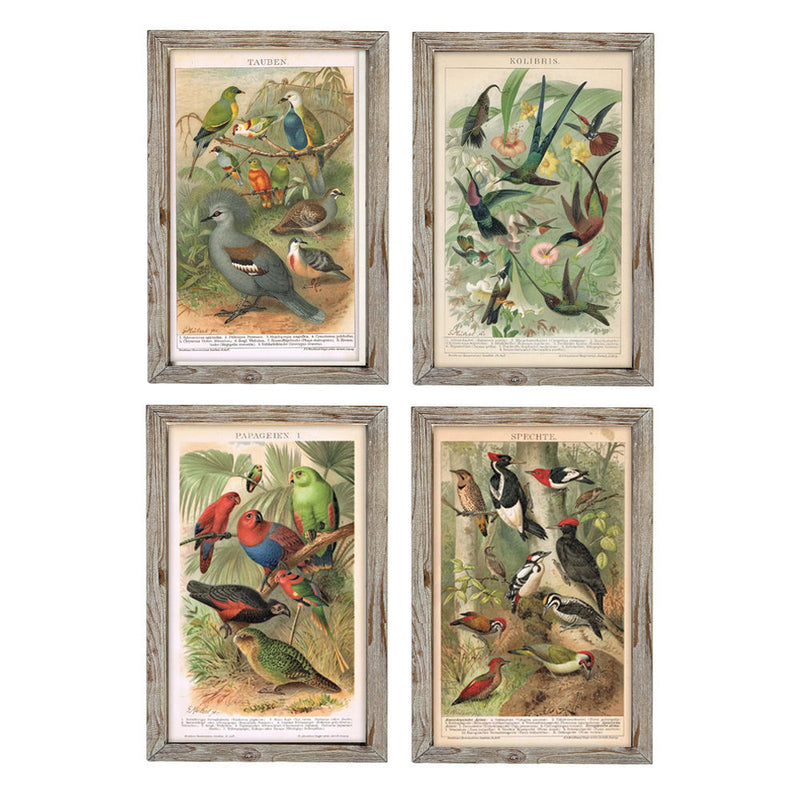 DKD Home Decor Birds Bild (45 x 2 x 65 cm) (4 Stcs)