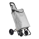 Trolley en plastique en plastique en métal gris (22 x 98 x 38 cm)