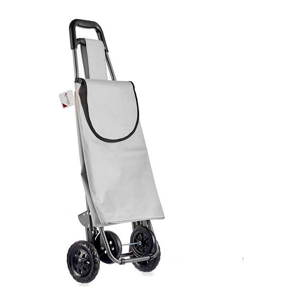 Trolley en plastique en plastique en métal gris (22 x 98 x 38 cm)