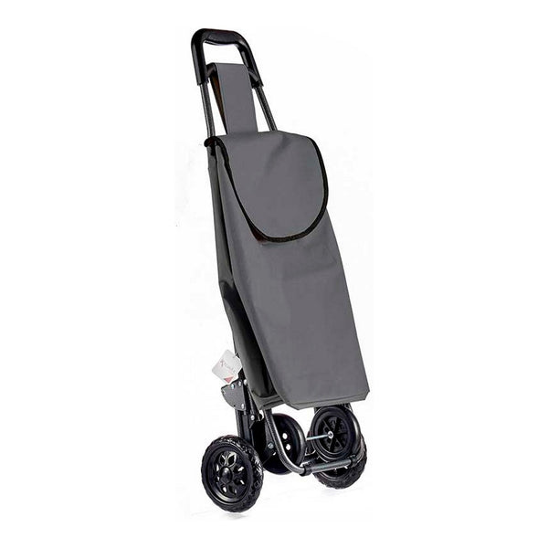 Trolley en plastique gris foncé tissu en plastique (22 x 98 x 38 cm)