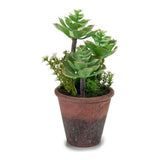 Planta Decorativa (14 x 20 x 14 cm)