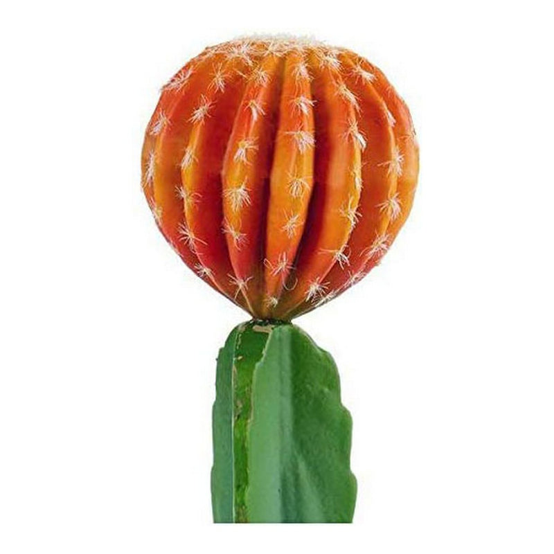 Cactus Arancio Plastica Cactus (13 x 41 x 13 cm) - zannishop