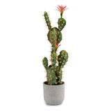 Cactus Rosa Plastica Cactus (19 x 80 x 23 cm) - zannishop