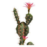 Cactus Rosa Plastica Cactus (19 x 80 x 23 cm) - zannishop