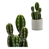 Cactus Plastica Cactus (12 x 28 x 12 cm) - zannishop