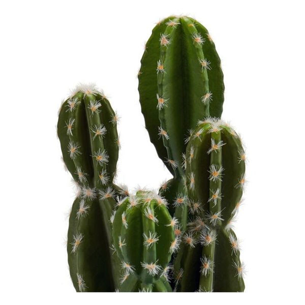 Cactus Plastica Cactus (12 x 28 x 12 cm) - zannishop