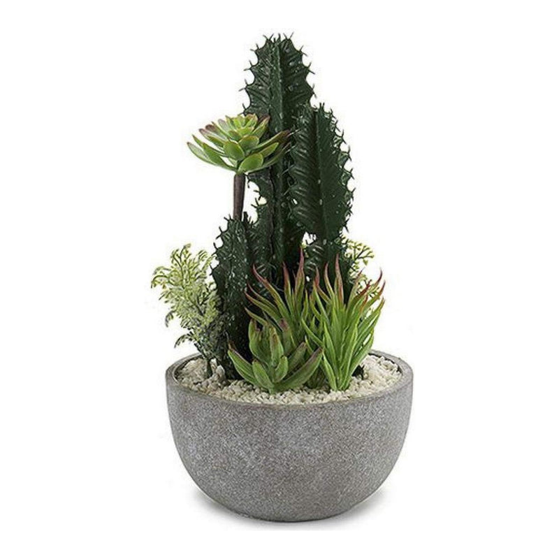 Cactus Cactus (17 x 30 x 17 cm) - zannishop