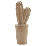 Cactus Pietra (13 x 38 x 13 cm) - zannishop